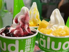 -Salud撒露欧洲冻酸奶(蓝色港湾店)