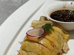 -老绍兴养和饭店(向阳不夜城店)