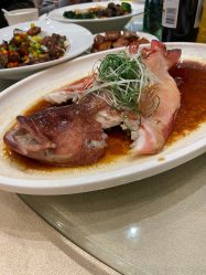 -上海雅居乐万豪侯爵酒店·宴会厅