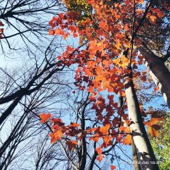 -中国科学院昆明植物研究所植物医生研发中心产品体验馆