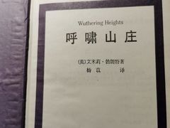 -小湘旺臭鳜鱼(百子湾店)