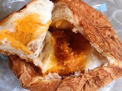 -蒲公英(五里店)