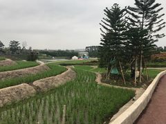 -迪茵湖田家舍生态农场