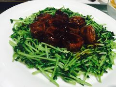 -长阳公馆(长阳店)