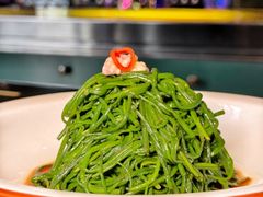 -蒙料·手把肉(望京店)