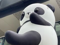 -江燕路万科里