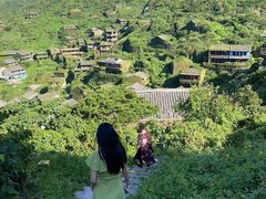 -枸杞岛