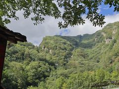 -牛背梁国家森林公园