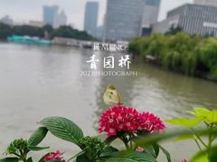 -运河游船(武林门码头)