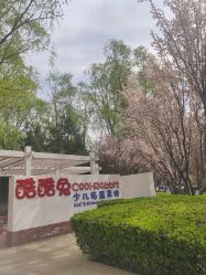 -酷酷兔少儿拓展天地