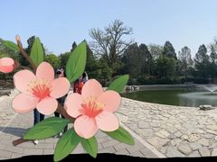 -香山公园