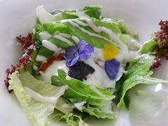 -天空花园餐吧·生日·团建(南山店)