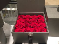 -ROSEONLY诺誓(国际广场购物中心店)