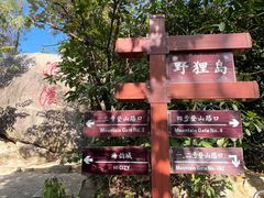 -野狸岛