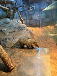 -Zoolung Zoolung动物主题公园(海信广场店)