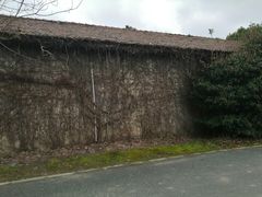-嘉北郊野公园