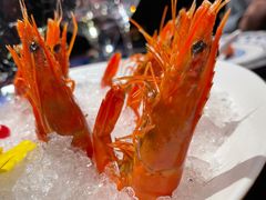 -上海滩餐厅(BFC外滩金融中心店)