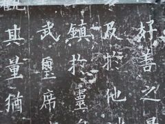 -六出私塾LiuChu•成人美术书法系统课程专业画室(熊婆婆的花园店)