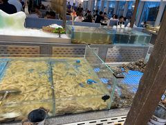 -半岛听涛蒸汽海鲜自助(K11店)