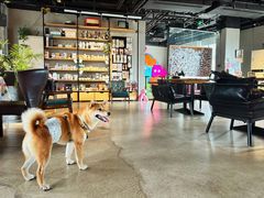 -百好乐宠物友好餐厅(朝外大街店)