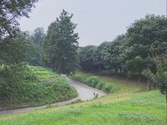 -两河城市森林公园
