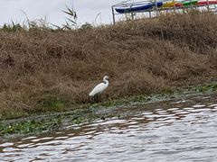 -春花秋色城市公园