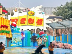 -海合安成都极地海洋公园