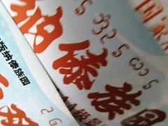 -西双版纳傣族园