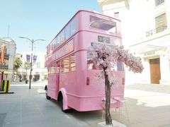 -海合安苏州阳澄半岛乐园