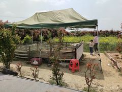 -小鱼草莓采摘园农家乐·小鱼餐厅