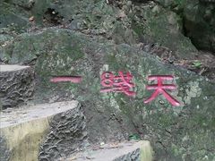 -天女山森林公园