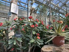 -国家植物园南园