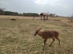 -良渚文化村
