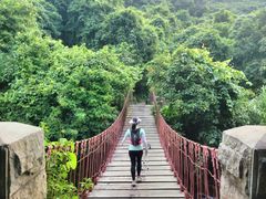 -梧桐山风景名胜区