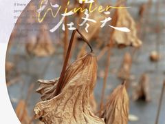 -颐和园
