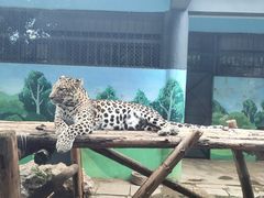 -昆明动物园