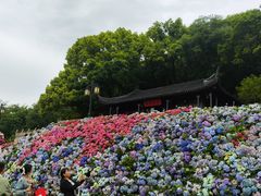 -苏州上方山国家森林公园