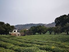 -中国茶叶博物馆(双峰馆区)