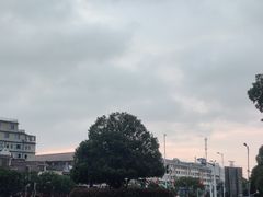 -书亦烧仙草(长沙医学院店)