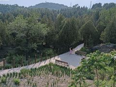 -白水寺森林公园