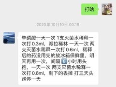 -严国平动物医院(德政总院)