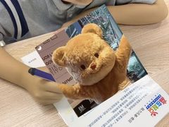 -月星环球港赢在起点早教中心·亲子托班早教体验课儿童兴趣班逻辑思维专注力幼小衔接(普陀中心)
