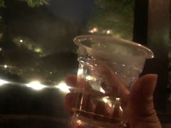 -英德宝晶宫天鹅湖茶语温泉