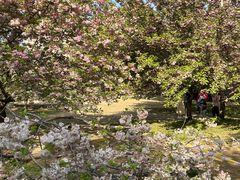 -莲花池公园