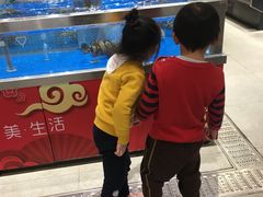 -盒马鲜生(财富中心店)