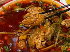 -易老妈蹄花.特色川菜(人民公园总店)