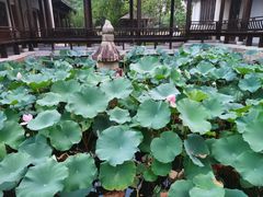 -石湖景区