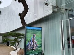 -罗红摄影艺术馆