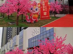 -深圳市海吉星国际农产品物流管理有限公司