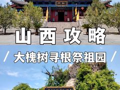 -大槐树寻根祭祖园